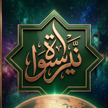NaySahul logo
